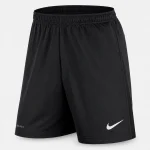Nike Dri-FIT Men's Training Shorts